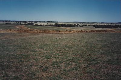 Property of WK (Ken) and JE (June) Clancy, 'Mount View', Gunning, New South Wales, Australia - 127