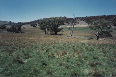 Property of WK (Ken) and JE (June) Clancy, 'Mount View', Gunning, New South Wales, Australia - 128