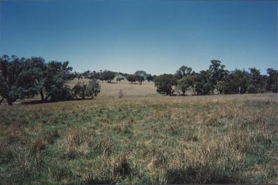 Property of WK (Ken) and JE (June) Clancy, 'Mount View', Gunning, New South Wales, Australia - 133