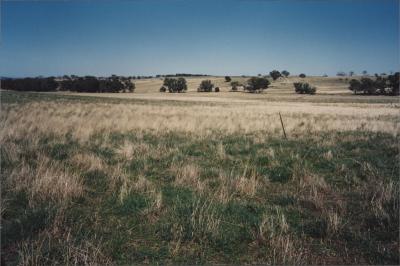 Property of WK (Ken) and JE (June) Clancy, 'Mount View', Gunning, New South Wales, Australia - 135