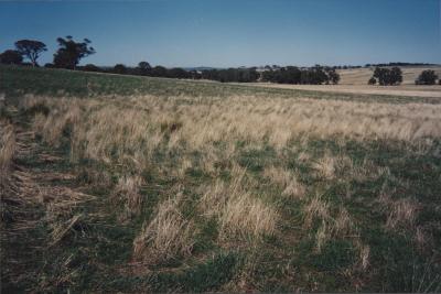 Property of WK (Ken) and JE (June) Clancy, 'Mount View', Gunning, New South Wales, Australia - 136