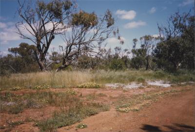 Property of WK (Ken) and JE (June) Clancy, 'Mount View', Gunning, New South Wales, Australia - 142