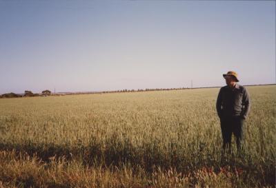 Property of WK (Ken) and JE (June) Clancy, 'Mount View', Gunning, New South Wales, Australia - 143