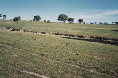 Property of WK (Ken) and JE (June) Clancy, 'Mount View', Gunning, New South Wales, Australia - 148