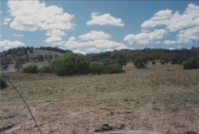 Property of WK (Ken) and JE (June) Clancy, 'Mount View', Gunning, New South Wales, Australia - 158