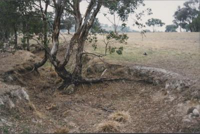 Property of WK (Ken) and JE (June) Clancy, 'Mount View', Gunning, New South Wales, Australia - 159