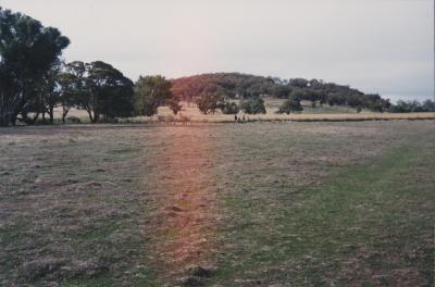 Property of WK (Ken) and JE (June) Clancy, 'Mount View', Gunning, New South Wales, Australia - 161