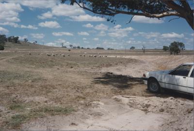 Property of WK (Ken) and JE (June) Clancy, 'Mount View', Gunning, New South Wales, Australia - 168
