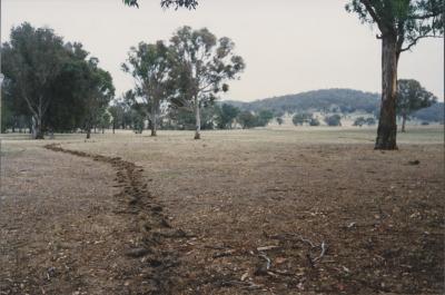 Property of WK (Ken) and JE (June) Clancy, 'Mount View', Gunning, New South Wales, Australia - 174