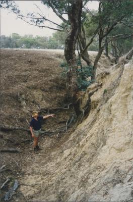 Property of WK (Ken) and JE (June) Clancy, 'Mount View', Gunning, New South Wales, Australia - 183