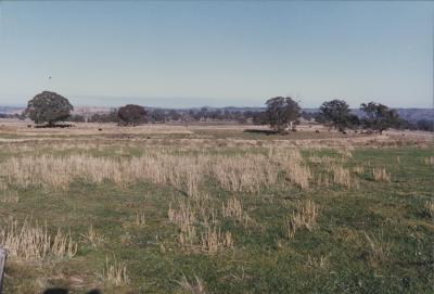 Property of WK (Ken) and JE (June) Clancy, 'Mount View', Gunning, New South Wales, Australia - 187