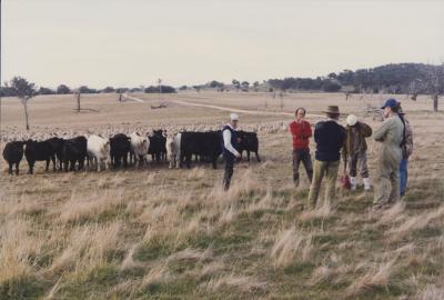 Property of WK (Ken) and JE (June) Clancy, 'Mount View', Gunning, New South Wales, Australia - 189