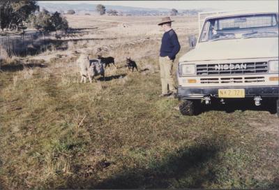 Property of WK (Ken) and JE (June) Clancy, 'Mount View', Gunning, New South Wales, Australia - 194