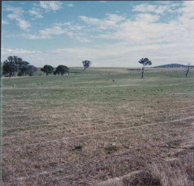 Property of WK (Ken) and JE (June) Clancy, 'Mount View', Gunning, New South Wales, Australia - 020