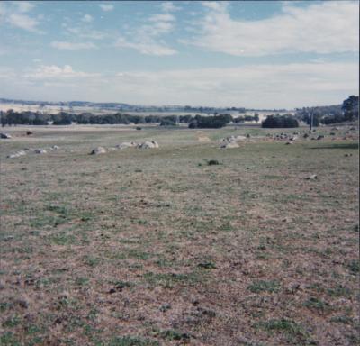 Property of WK (Ken) and JE (June) Clancy, 'Mount View', Gunning, New South Wales, Australia - 026