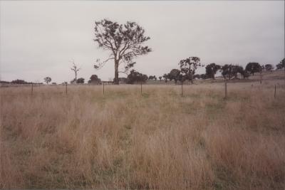 Property of WK (Ken) and JE (June) Clancy, 'Mount View', Gunning, New South Wales, Australia - 030