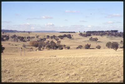 Property of WK (Ken) and JE (June) Clancy, 'Mount View', Gunning, New South Wales, Australia - 038