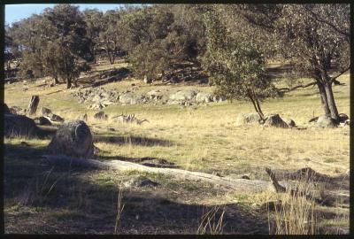 Property of WK (Ken) and JE (June) Clancy, 'Mount View', Gunning, New South Wales, Australia - 041