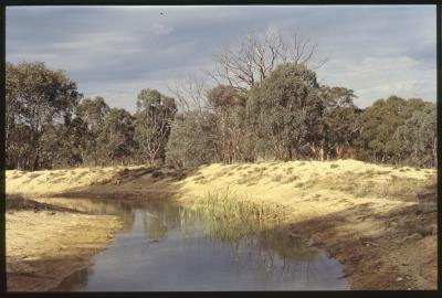 Property of WK (Ken) and JE (June) Clancy, 'Mount View', Gunning, New South Wales, Australia - 043