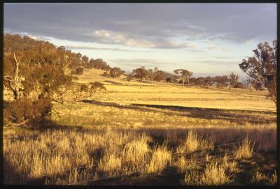 Property of WK (Ken) and JE (June) Clancy, 'Mount View', Gunning, New South Wales, Australia - 045