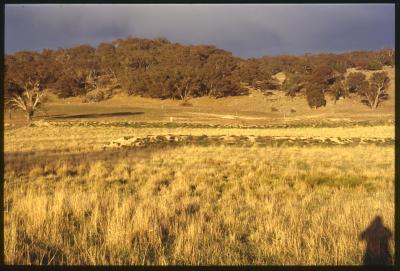 Property of WK (Ken) and JE (June) Clancy, 'Mount View', Gunning, New South Wales, Australia - 046