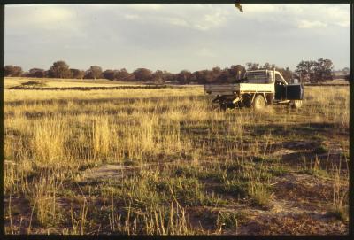 Property of WK (Ken) and JE (June) Clancy, 'Mount View', Gunning, New South Wales, Australia - 047