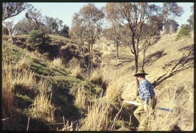 Property of WK (Ken) and JE (June) Clancy, 'Mount View', Gunning, New South Wales, Australia - 049