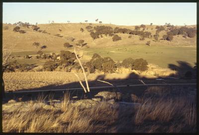 Property of WK (Ken) and JE (June) Clancy, 'Mount View', Gunning, New South Wales, Australia - 052