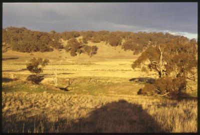 Property of WK (Ken) and JE (June) Clancy, 'Mount View', Gunning, New South Wales, Australia - 053