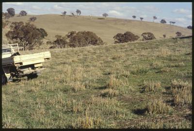 Property of WK (Ken) and JE (June) Clancy, 'Mount View', Gunning, New South Wales, Australia - 054