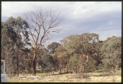 Property of WK (Ken) and JE (June) Clancy, 'Mount View', Gunning, New South Wales, Australia - 057