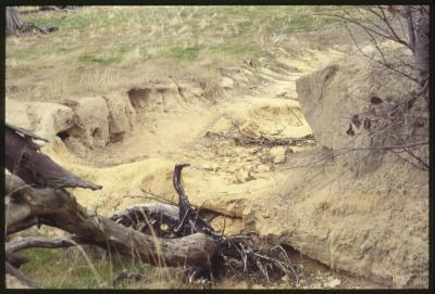 Property of WK (Ken) and JE (June) Clancy, 'Mount View', Gunning, New South Wales, Australia - 059