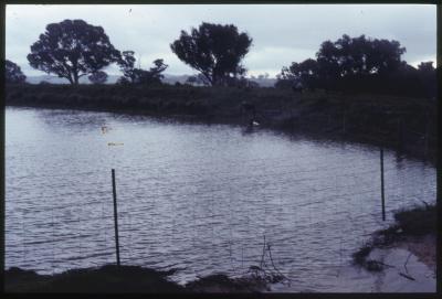 Property of WK (Ken) and JE (June) Clancy, 'Mount View', Gunning, New South Wales, Australia - 066