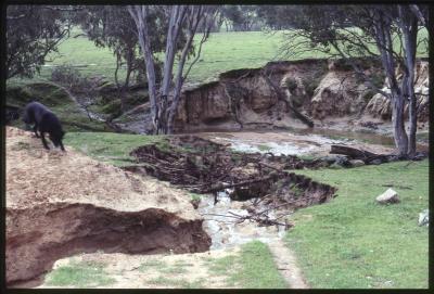 Property of WK (Ken) and JE (June) Clancy, 'Mount View', Gunning, New South Wales, Australia - 068