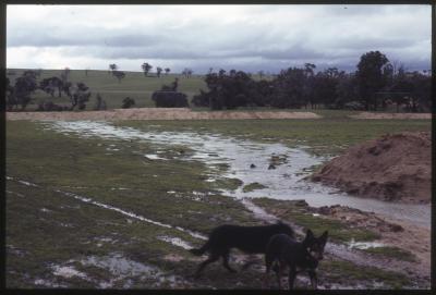 Property of WK (Ken) and JE (June) Clancy, 'Mount View', Gunning, New South Wales, Australia - 072