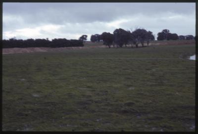 Property of WK (Ken) and JE (June) Clancy, 'Mount View', Gunning, New South Wales, Australia - 074