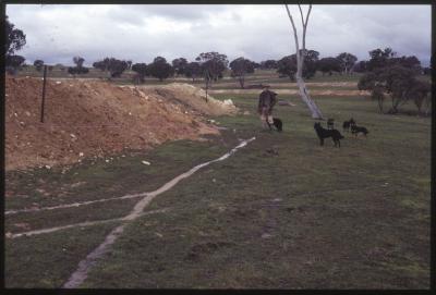 Property of WK (Ken) and JE (June) Clancy, 'Mount View', Gunning, New South Wales, Australia - 075