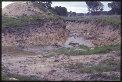 Property of WK (Ken) and JE (June) Clancy, 'Mount View', Gunning, New South Wales, Australia - 076