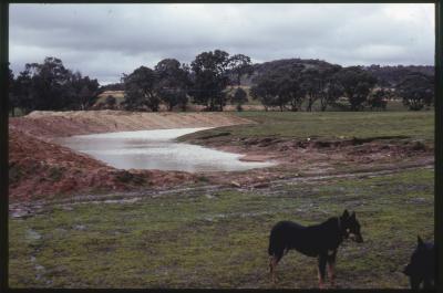 Property of WK (Ken) and JE (June) Clancy, 'Mount View', Gunning, New South Wales, Australia - 083