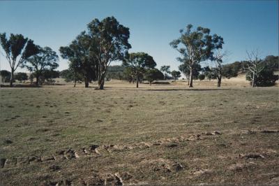 Property of WK (Ken) and JE (June) Clancy, 'Mount View', Gunning, New South Wales, Australia - 087