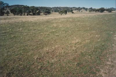 Property of WK (Ken) and JE (June) Clancy, 'Mount View', Gunning, New South Wales, Australia - 093