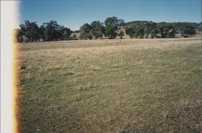Property of WK (Ken) and JE (June) Clancy, 'Mount View', Gunning, New South Wales, Australia - 097
