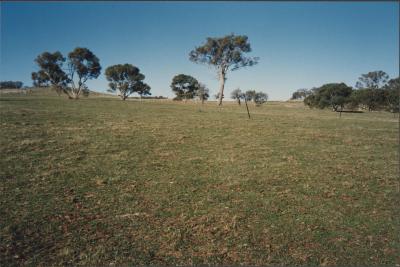 Property of WK (Ken) and JE (June) Clancy, 'Mount View', Gunning, New South Wales, Australia - 099