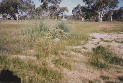 Property of MJ (Mike) and LA (Julie) Daley, Brookton, Western Australia, Australia - 038