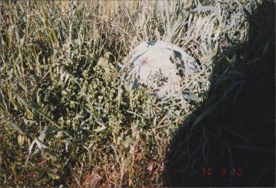 Property of MJ (Mike) and LA (Julie) Daley, Brookton, Western Australia, Australia - 041