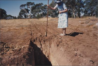 Property of MJ (Mike) and LA (Julie) Daley, Brookton, Western Australia, Australia - 035