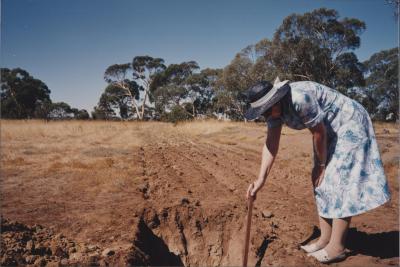 Property of MJ (Mike) and LA (Julie) Daley, Brookton, Western Australia, Australia - 036