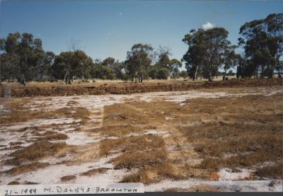 Property of MJ (Mike) and LA (Julie) Daley, Brookton, Western Australia, Australia - 028