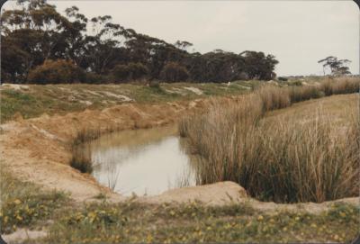 Property of O (Owen) Dare, Dumbleyung, Western Australia, Australia