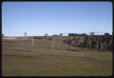 Denbarker, Western Australia, Australia - 009